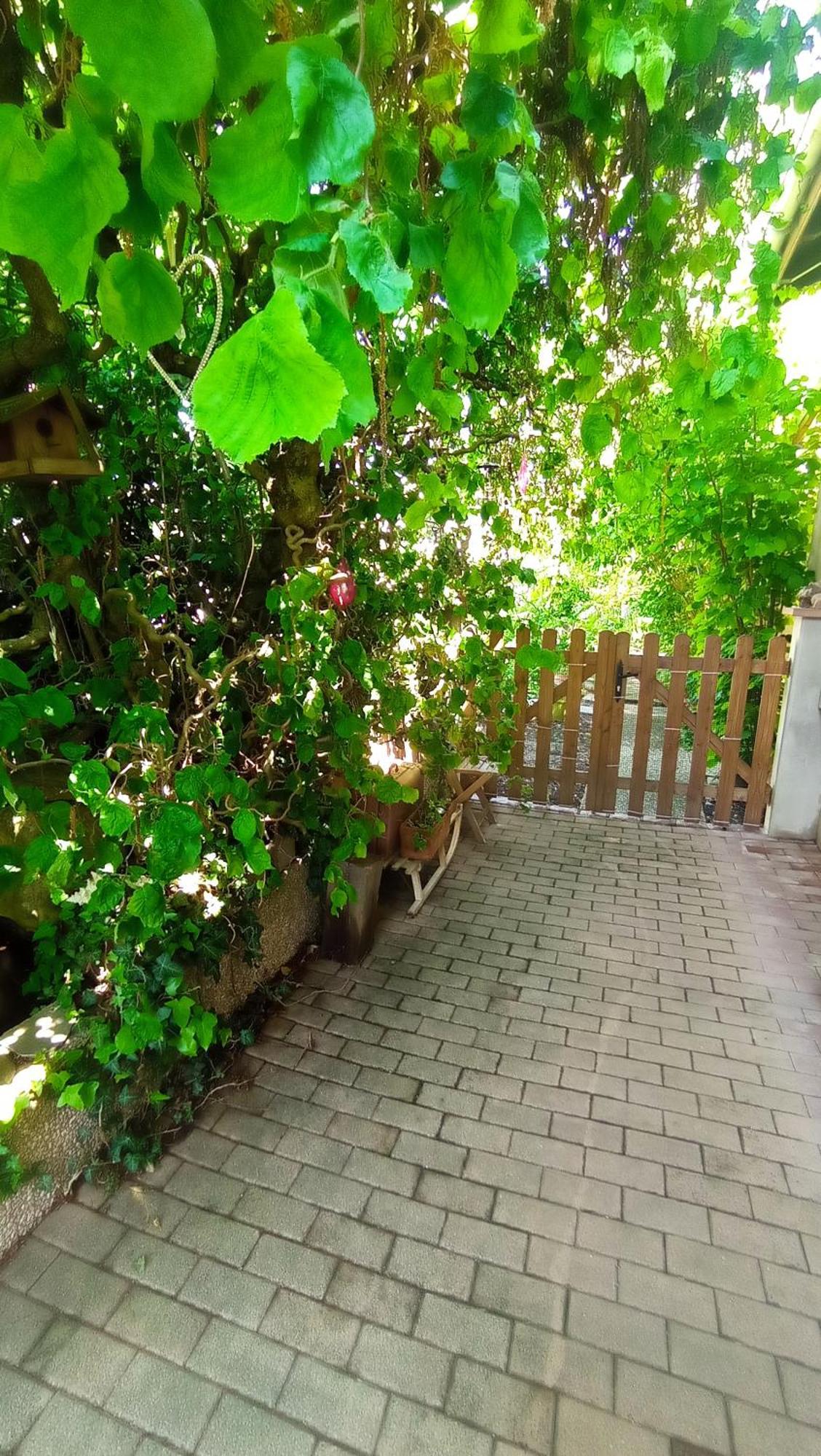 Garden Duplex Lägenhet Sundhoffen Exteriör bild