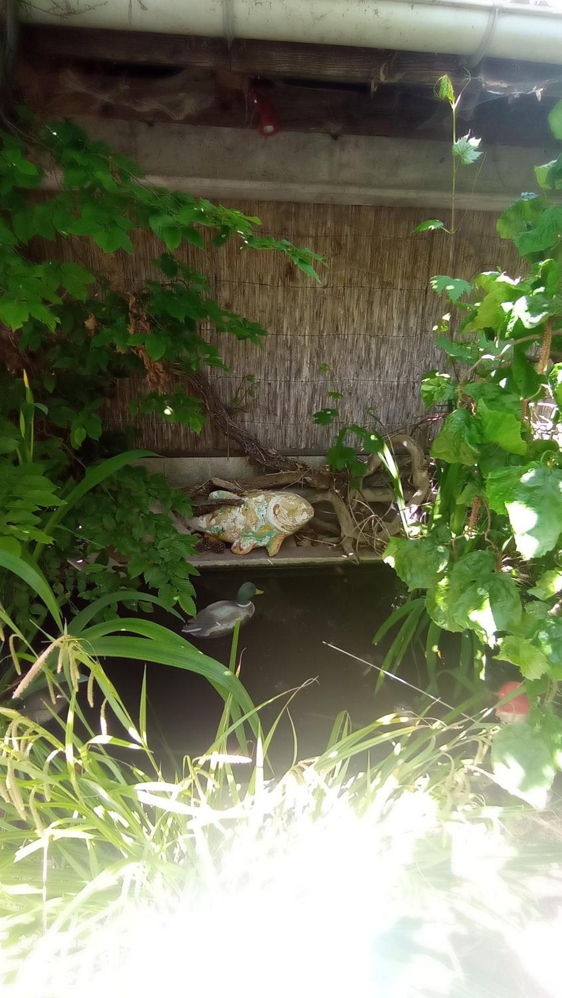 Garden Duplex Lägenhet Sundhoffen Exteriör bild
