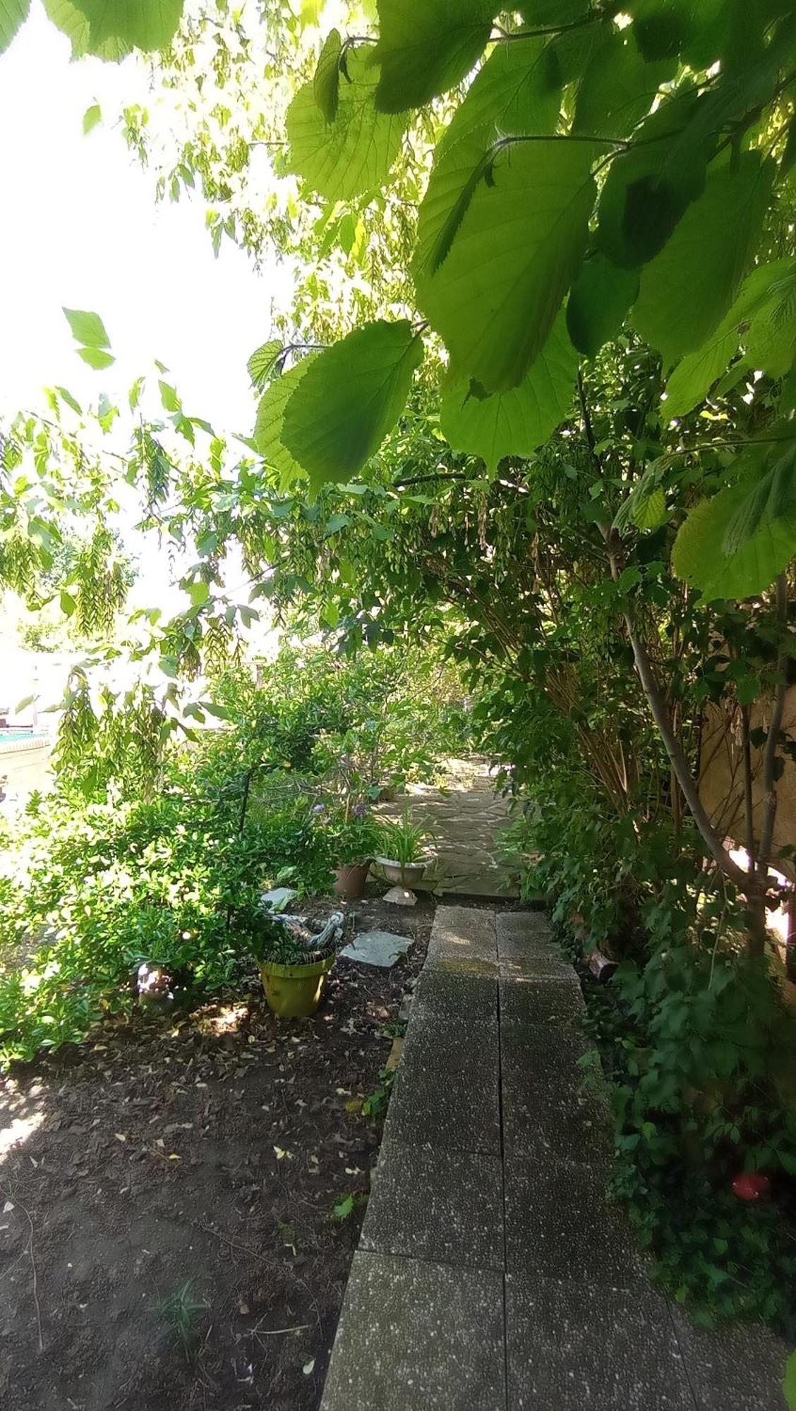 Garden Duplex Lägenhet Sundhoffen Exteriör bild