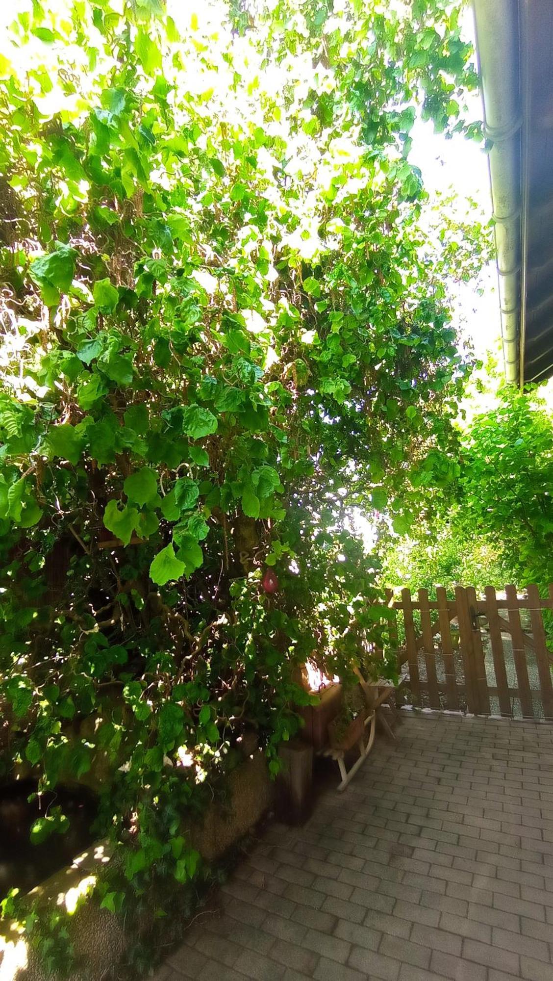 Garden Duplex Lägenhet Sundhoffen Exteriör bild