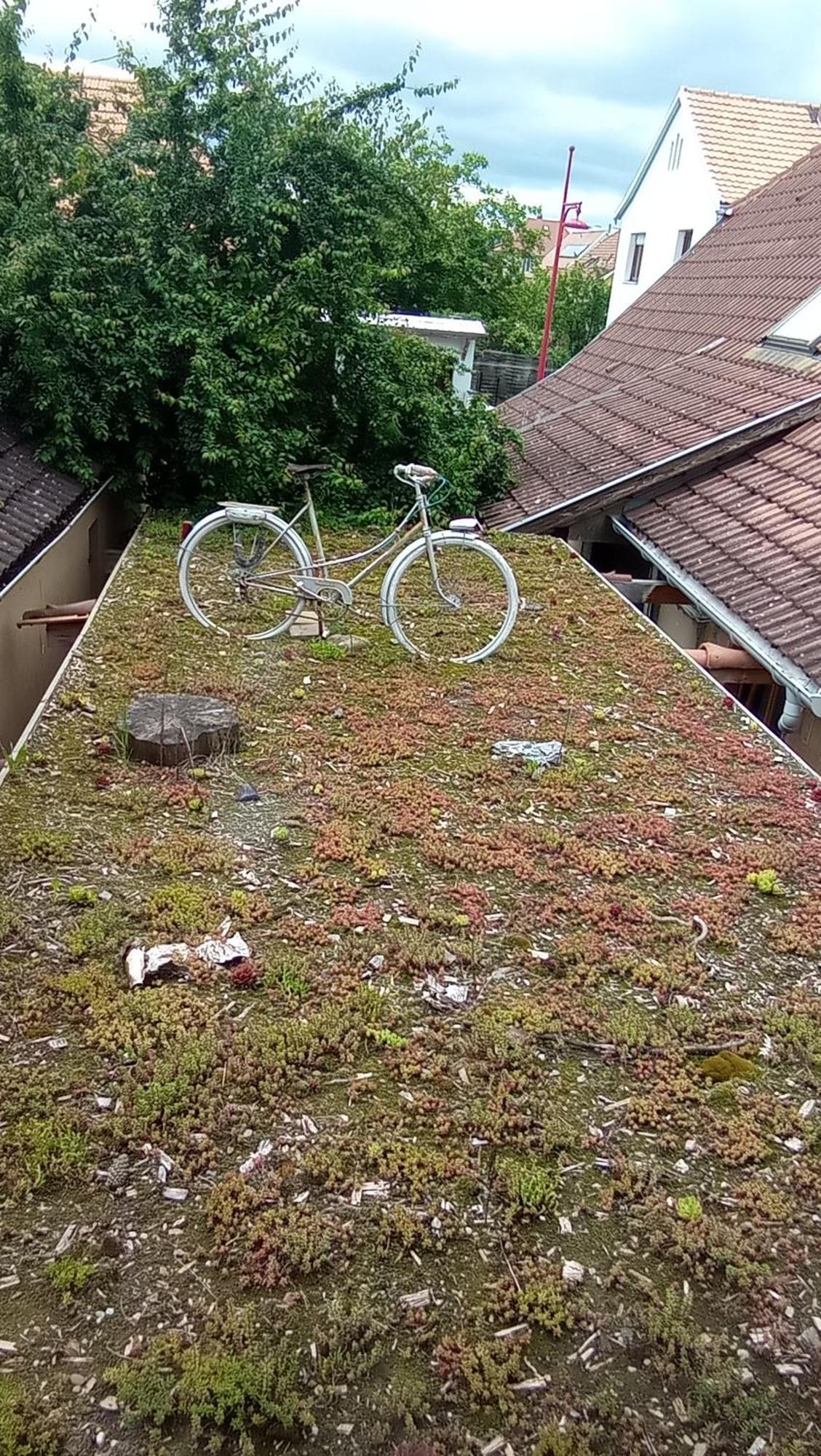 Garden Duplex Lägenhet Sundhoffen Exteriör bild